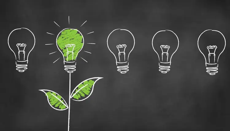 The Quality Feature Sustainability A light bulb in the form of a plant symbolizes sustainable ideas