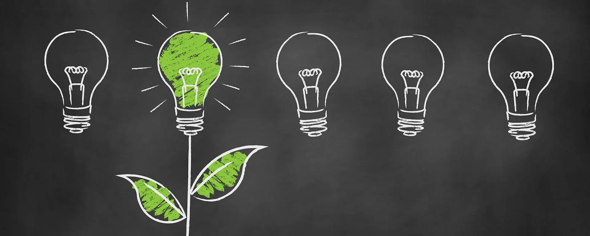 A light bulb in the form of a plant symbolizes sustainable ideas