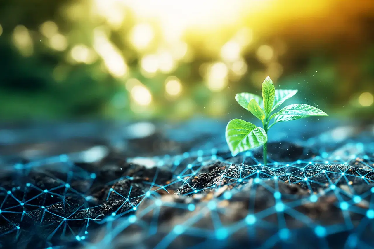 A plant grows out of the ground