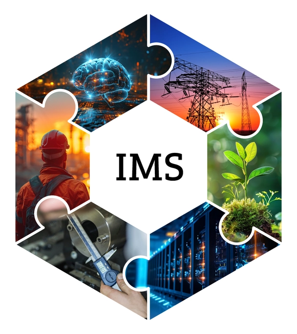 Areas of application that should be considered in the IMS Interlocking puzzle pieces with application areas for IMS