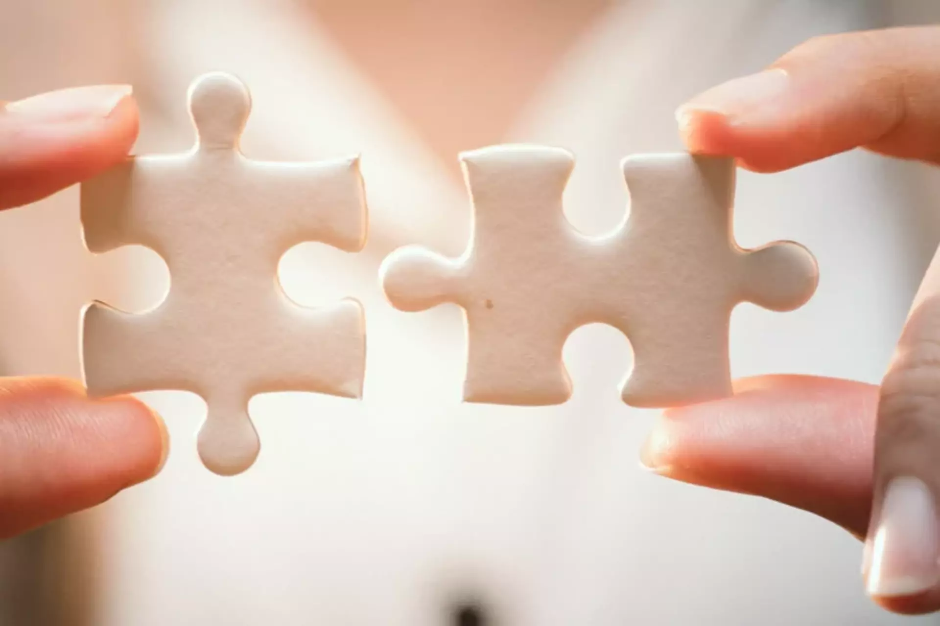 Like two pieces of a puzzle: QMS and IMS Two puzzle pieces held together